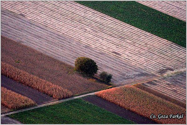 23_field.jpg - Field near Novi Sad town  Serbia - Vojvodina province