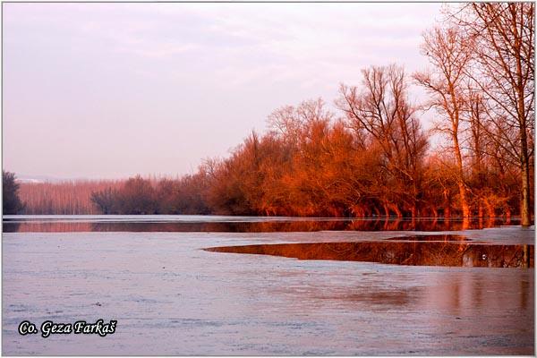34_koviljski_rit.jpg - Danube river, Koviljski rit  Serbia - Vojvodina province